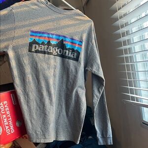 Patagonia Gray Long Sleeve with Mountain Graphic